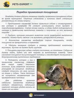 Каким командам обучить щенка
