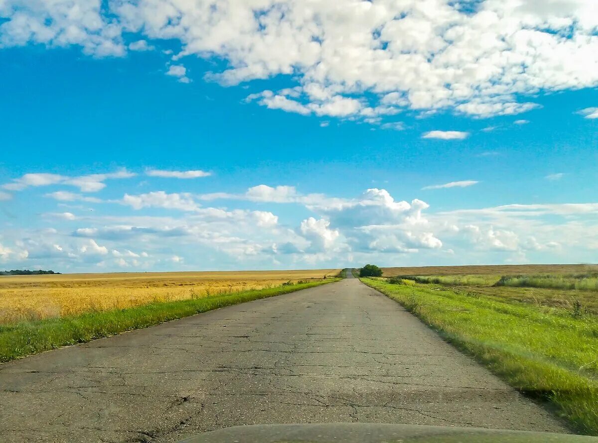 Тесаные дороги. Дороги Рязанской области. Вид на дорогу. Летняя дорога. Сельская дорога.