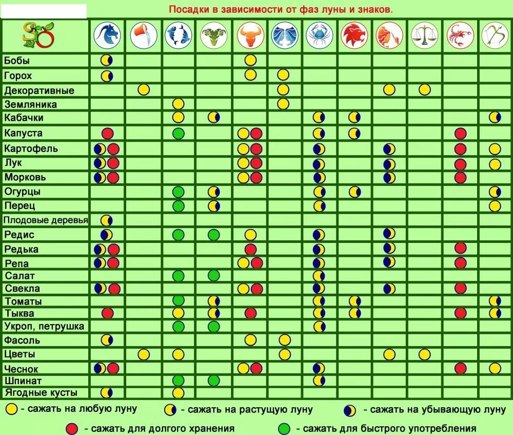 Луна что можно сажать. Таблица огородника. Календарь посадки рассады. Благоприятные знаки зодиака для посадки овощей. Знаки зодиака благоприятные для посадки растений.