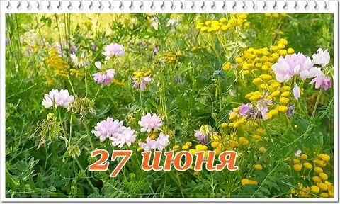 Календарь народных примет на июнь 2024