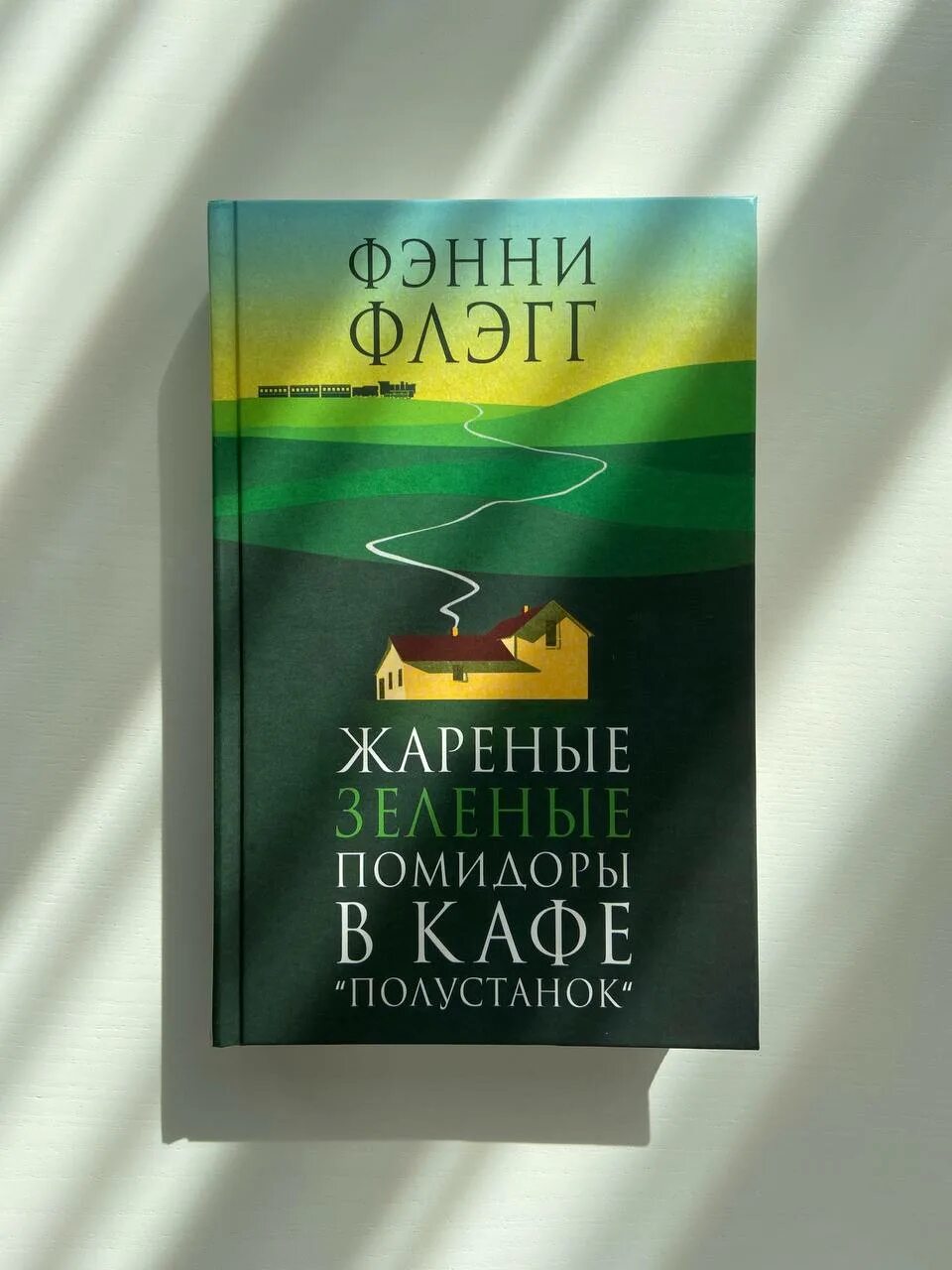 Зеленые помидоры в кафе полустанок читать. Фэнни Флэгг жареные помидоры в кафе «Полустанок». Жареные зелёные помидоры в кафе Полустанок Фэнни. Фэнни Флэгг жареные. Фэнни Флэгг жареные зеленые помидоры.