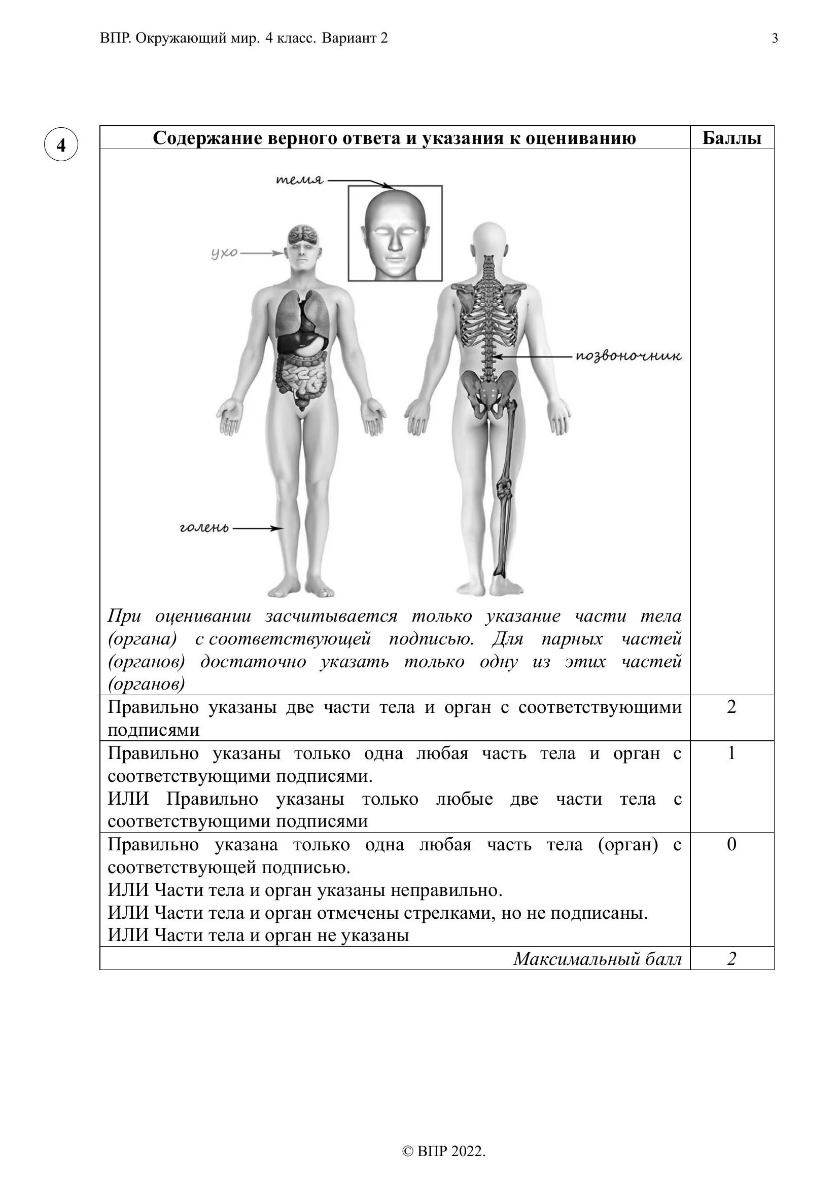 ВПР.окружающий мир 4 класс. ВПР окружающий мир 1 вариант. ВПР по окружающему миру. Задания по ВПР 4 класс окружающий мир.