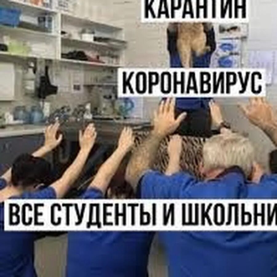 Как справиться без парня на карантине