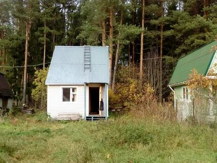 Беляевский мох