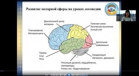 Программа двигательное развитие