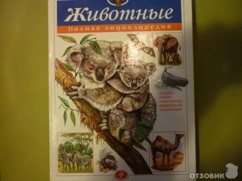Спасая животных книга. Жизнь животных книга. жизнь животных популярная энциклопедия. животные энциклопедия школьника. энциклопедия жизнь животных книга.
