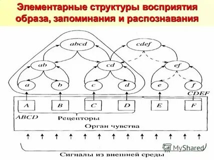 Нерегулярные структуры