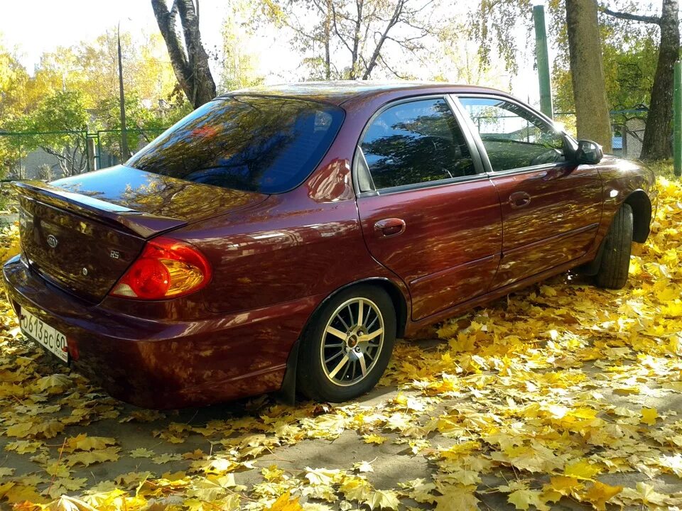 Немного корейского кастома всем в KIA Spectra Клуб - Форум КИА Спектра