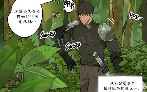 堕 落 英 雄 龙 宙 月 王 插 图 