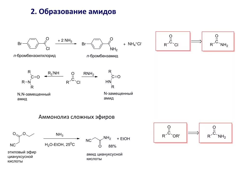 Аммонолиз сложных эфиров. Образование амидов из карбоновых кислот. Сложный эфир + nh2-nh2. Образование амидов карбоновых кислот механизм.