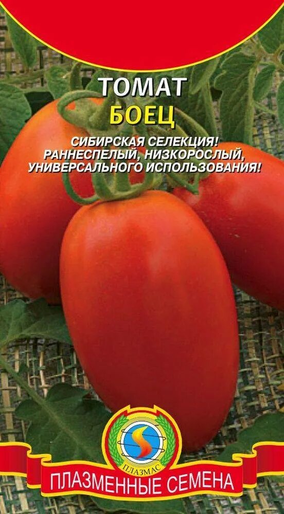 Сибирская селекция томат Буян. Семена томат боец (Буян). Сорт помидор боец Буян. Помидоры боец Буян Сибирская селекции.