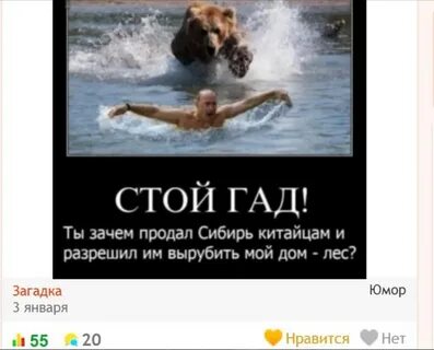 Стой отдай