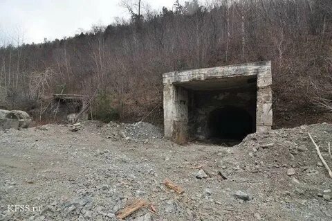 Шахта в приморье последние новости