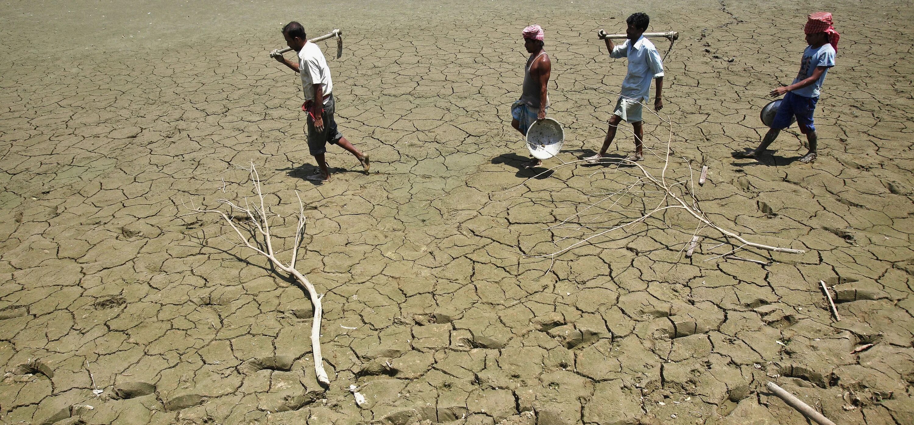 Засуха в Индии 2012.