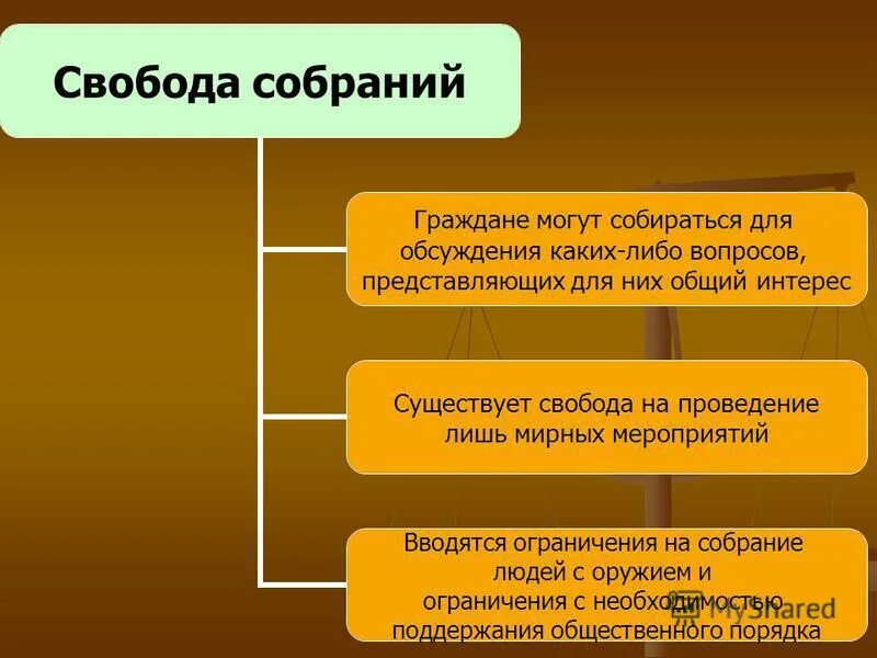 Значение политических прав для общественной жизни. Свобода собраний. Ограничение свободы собраний.