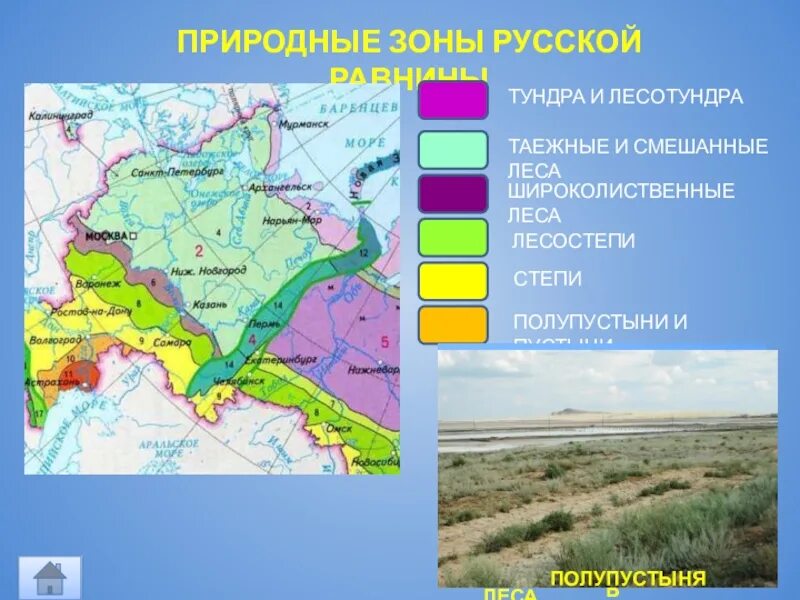 Природные зоны канады занимающие наибольшую площадь. Природные зоны Восточно европейской равнины на карте. Вотсочно европейскаярывнина природные зоны. Климатическая карта Восточно-европейской равнины. Восточно-европейской равнины климат на карте России.