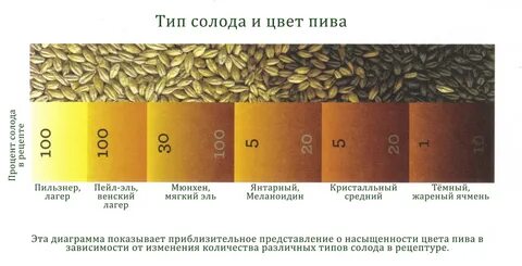 Сколько солода