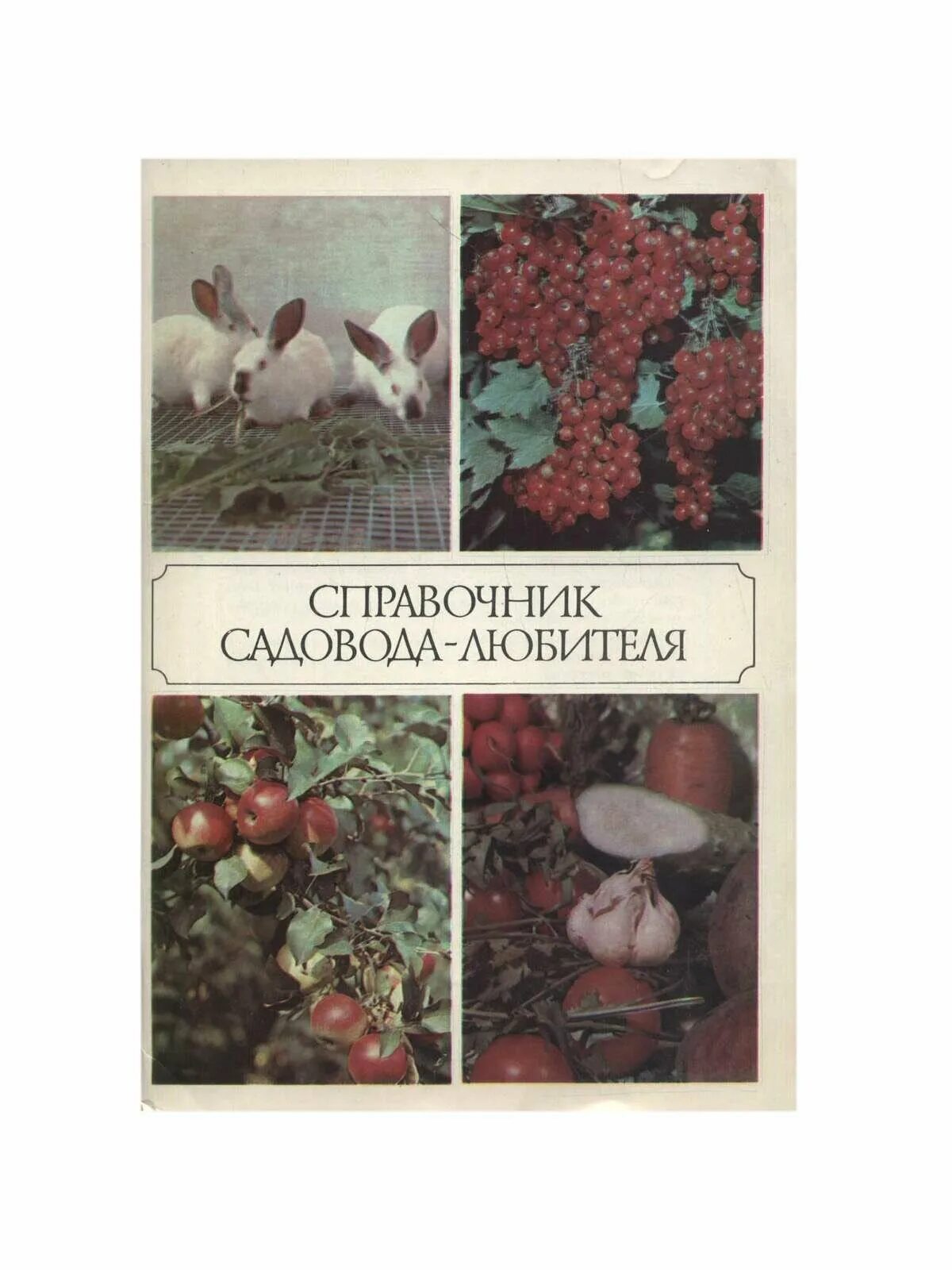 Справочник садовода. Книги для садоводов любителей. Справочник садовода любителя. Краткий справочник садовода. Камшилов н.а справочник.