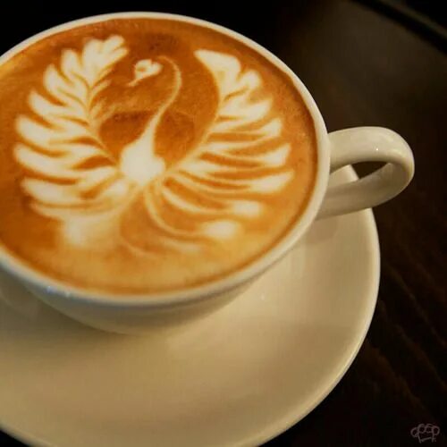 Латте арт лебедь. Дракон капучино. Латте арт лебедь. Морской конек кофе латте арт. Розетта латте латте арт.