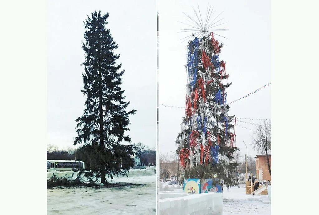 Увидел я необыкновенную елку росла