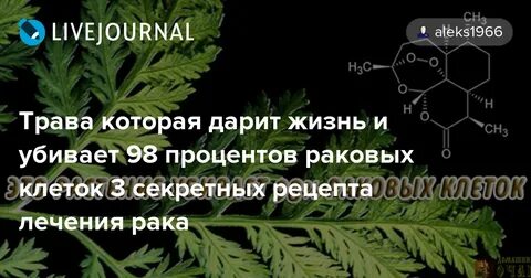 Какие растения убивают