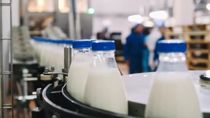 Пищевая промышленность молоко. Производство молока. Молочная промышленность Белоруссии. Производители молока. Крупнейший производитель молока