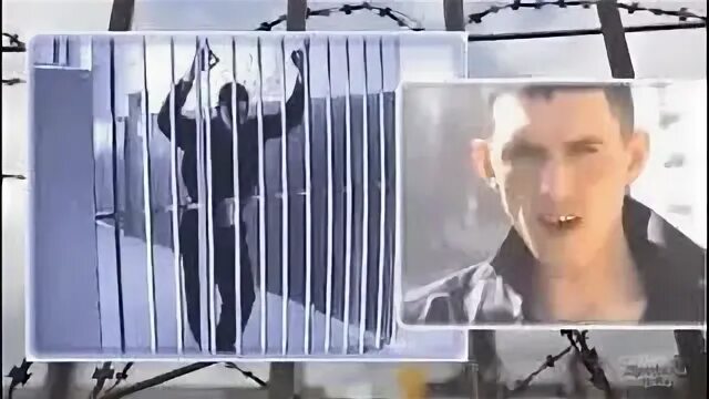 Песню мрак и холод