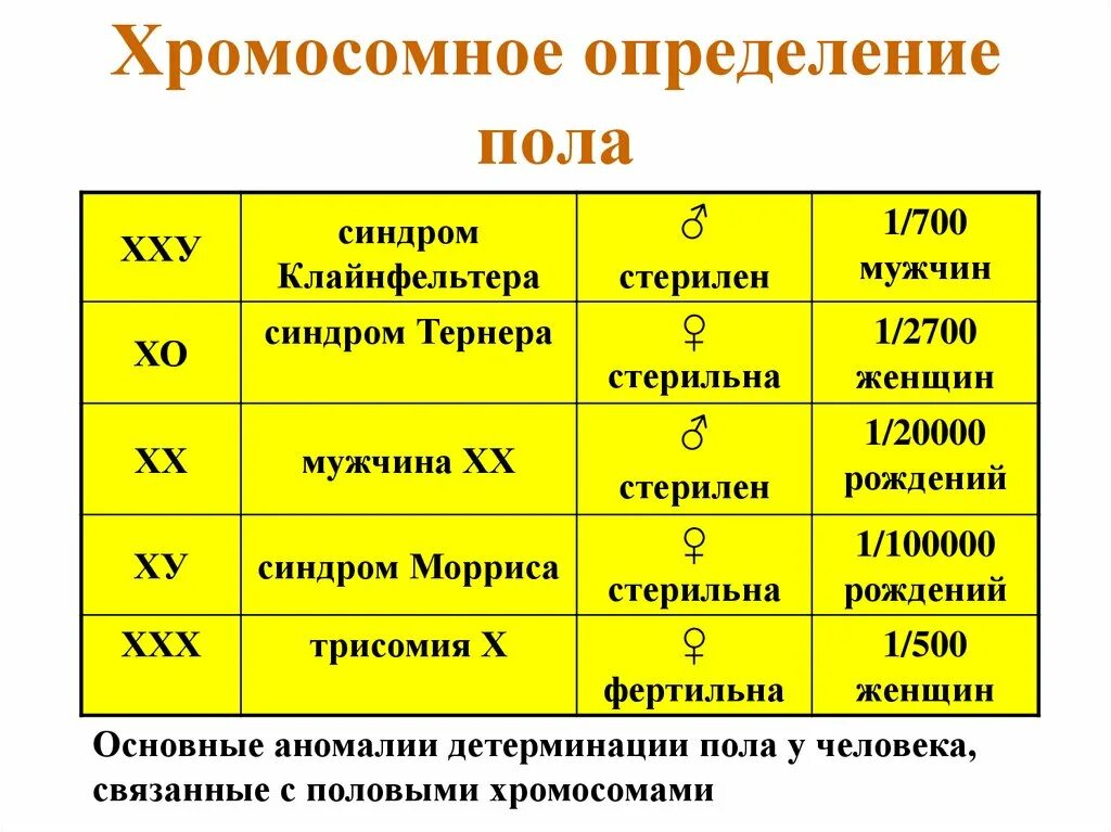 Когда происходит генетическое определение пола у человека