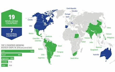 World countries 4