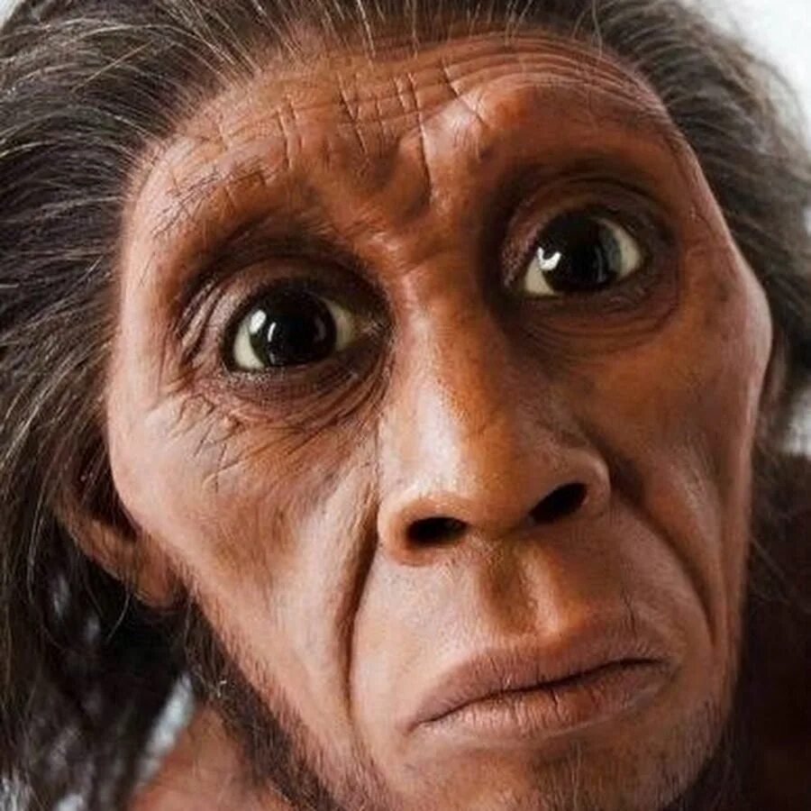 Хоббит нежданное путешествие гендальф. Властелин колец: братство кольца (2002). Хоббит человек. Хобитты с остова флоренс. Голлум хоббит до превращения.