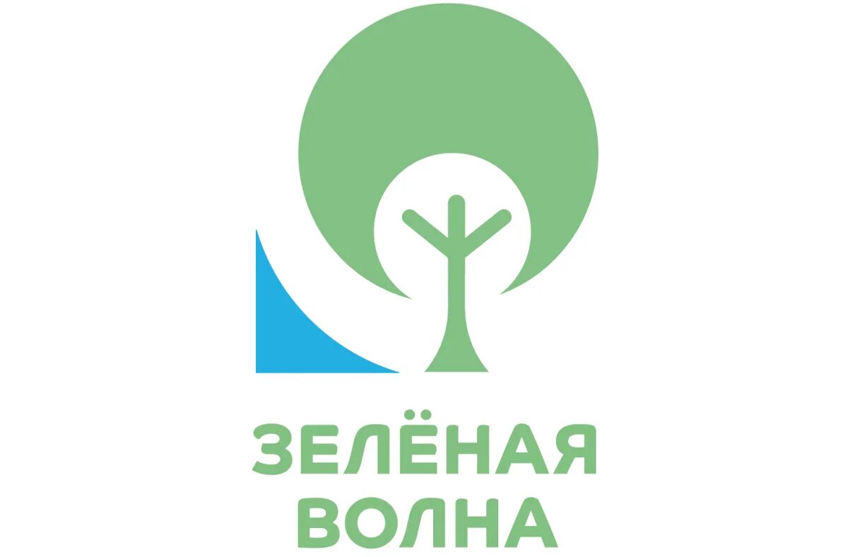 Зеленая волна на дороге. Зеленая волна работа. Зеленая волна 2021. Зеленая волна работа. Зеленая волна.