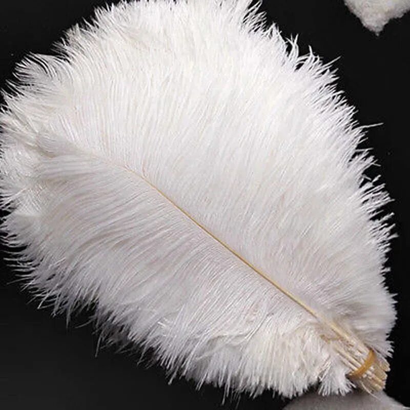 Feather 6