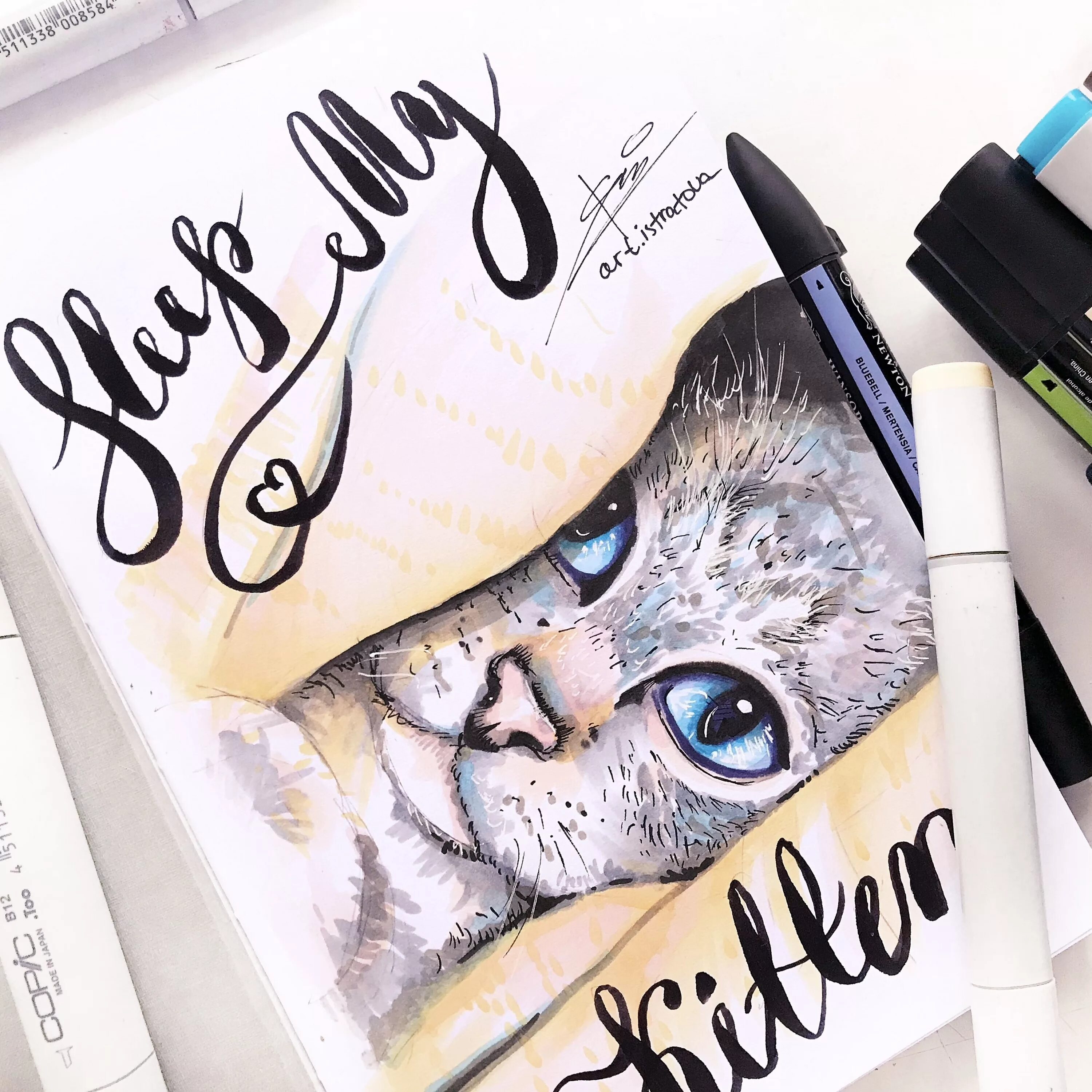 Идеи для рисунков котиков