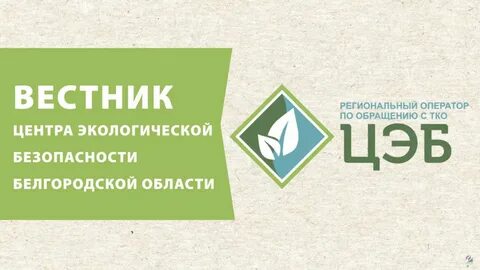 Цэб старый оскол телефон