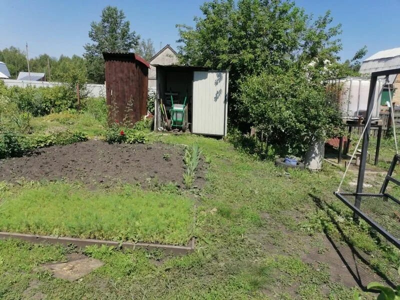Снт медик новосибирск. Снт медик новосибирск. Снт медик новосибирск. Снт медик новосибирск. Снт медик новокузнецк.