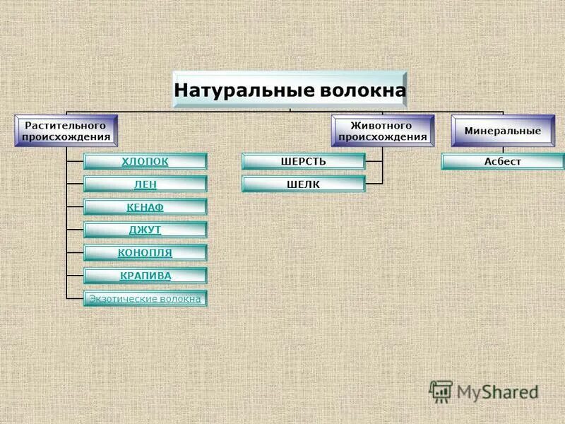 лен волокно растительного происхождения. растительные волокна хлопок. минеральные натуральные волокна. доклад про лён 5 класс технология. схема натуральных волокон животного происхождения.