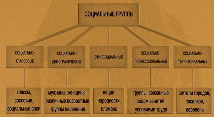 Какого класса бывает обществознание. Группы общества. социальные группы общества. социальные группы общества обществознание. социальные группы в современном обществе.