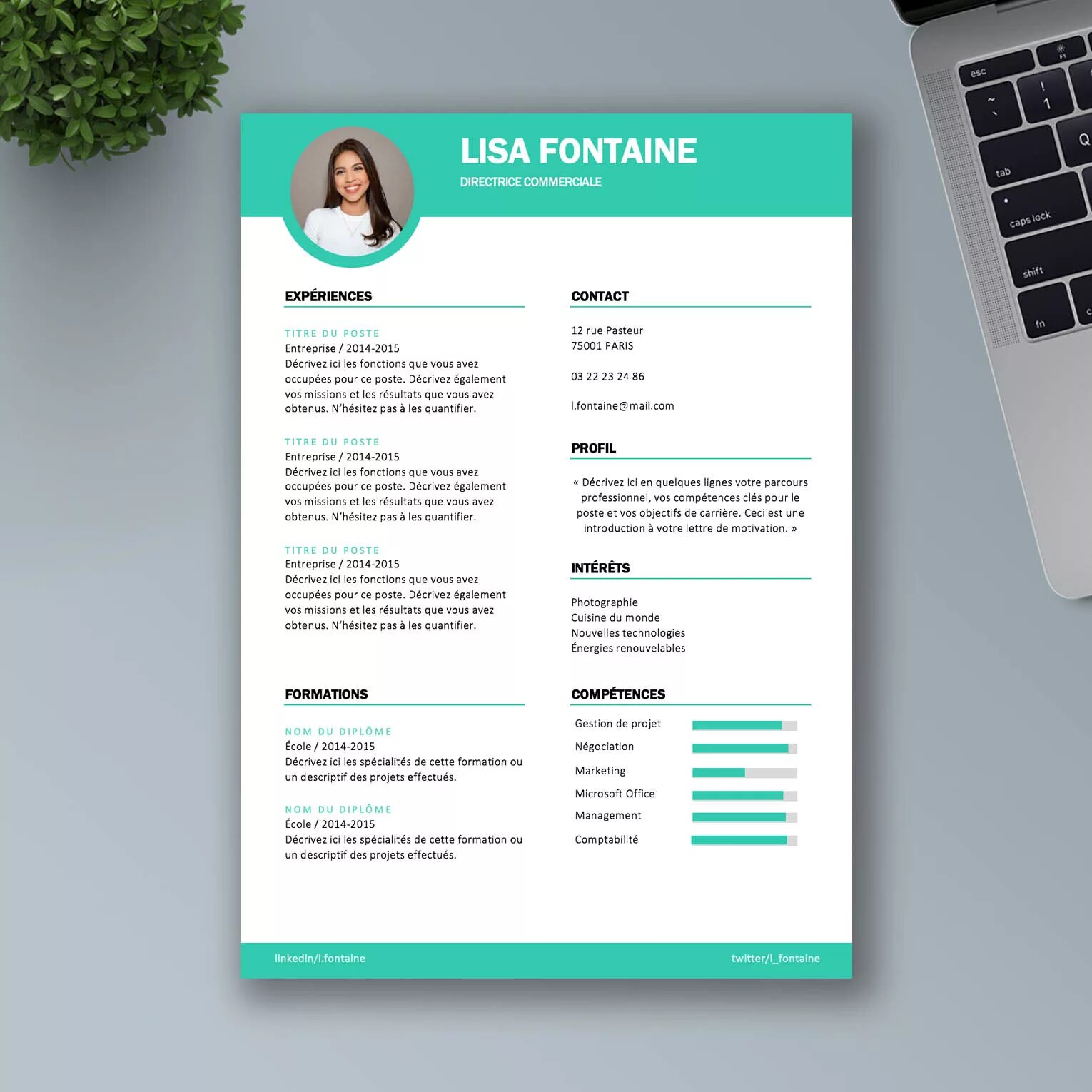 Модель CV. Model CV MD. Simple Resume Template. Модель CV0.1 артикул CV0.1. Cv 0.1