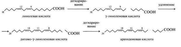 Синтез арахидоновой кислоты из линолевой. Образование арахидоновой кислоты из линолевой. Синтез арахидоновой кислоты из линолевой кислоты. Арахидоновая кислота формула биохимия. Формула арахидоновой кислоты