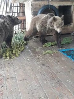 Попал в зоопарк