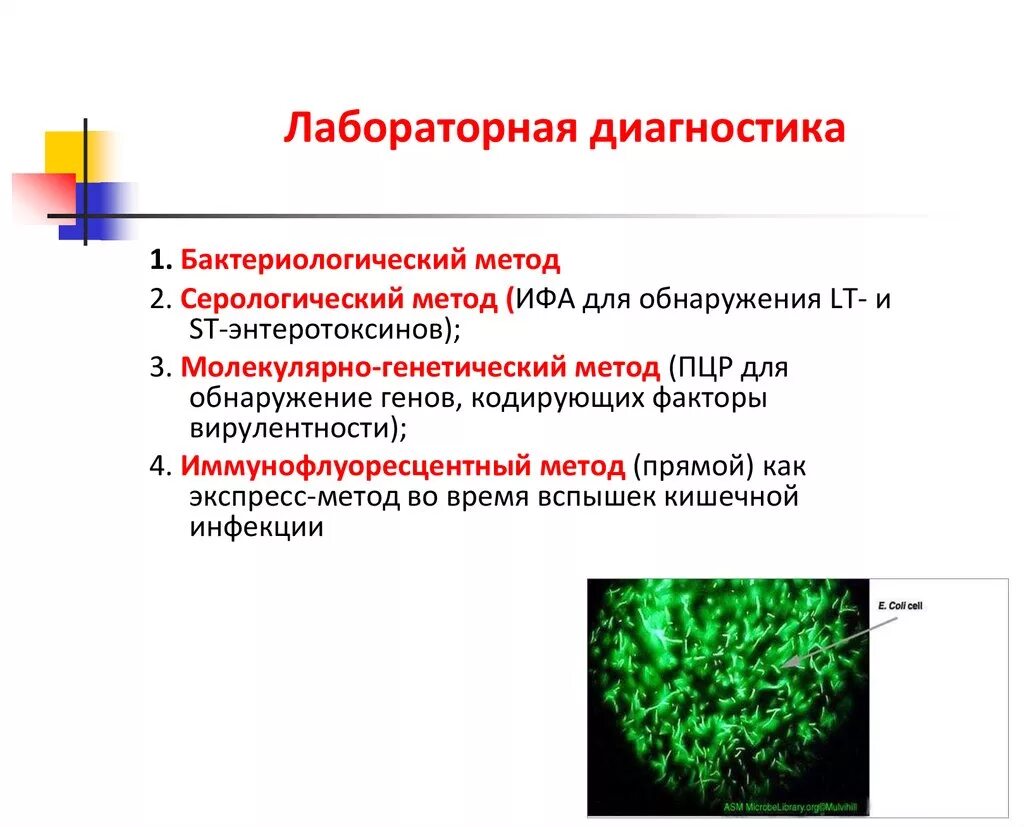 Метод диагностики кишечных инфекций. Эшерихиоз метод лабораторной диагностики. методы лабораторной диагностики escherichia coli. эшерихия коли лабораторная диагностика. tithb[b лабораторная диагностика.