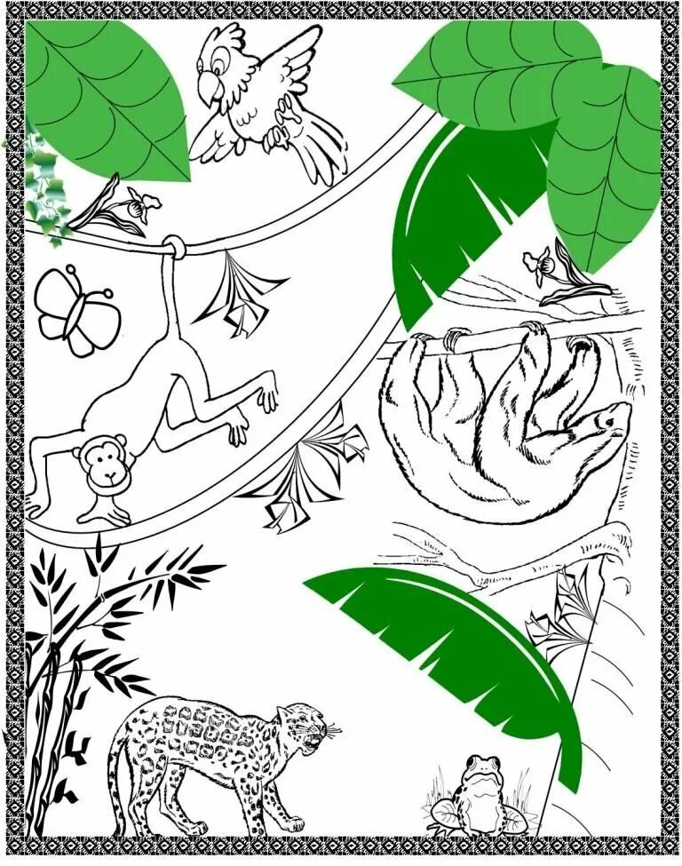 Тропические животные 1 класс. Тропический лес. Тропические леса задания для дошкольников. Животные тропического леса. Тропический лес рисунок.