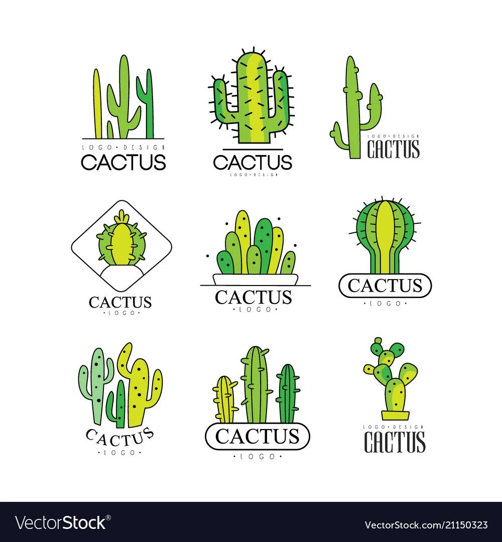 Cacti бренд. Эмблема Кактус. Бренды с кактусом на логотипе. Кактус логотип магазина. Дизайн логотипа с кактусом.