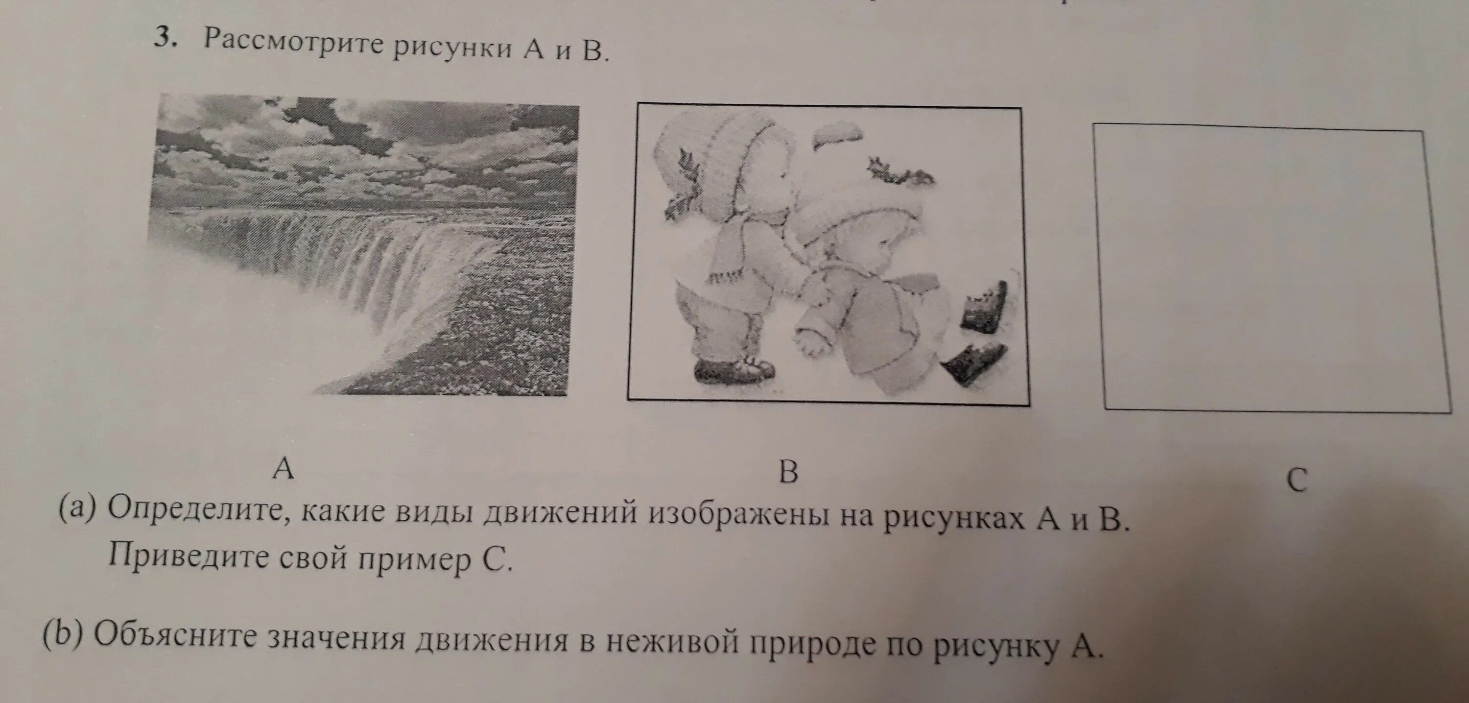 Определите какие виды движения изображены на рисунках а и в. Какой вид движения изображен на рисунке? ￼. Определите по рисунку вид движения. Рассмотрите рисунок б в. На рисунке изображено движение положительно