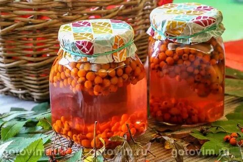 Заготовки из рябины красной на зиму рецепты