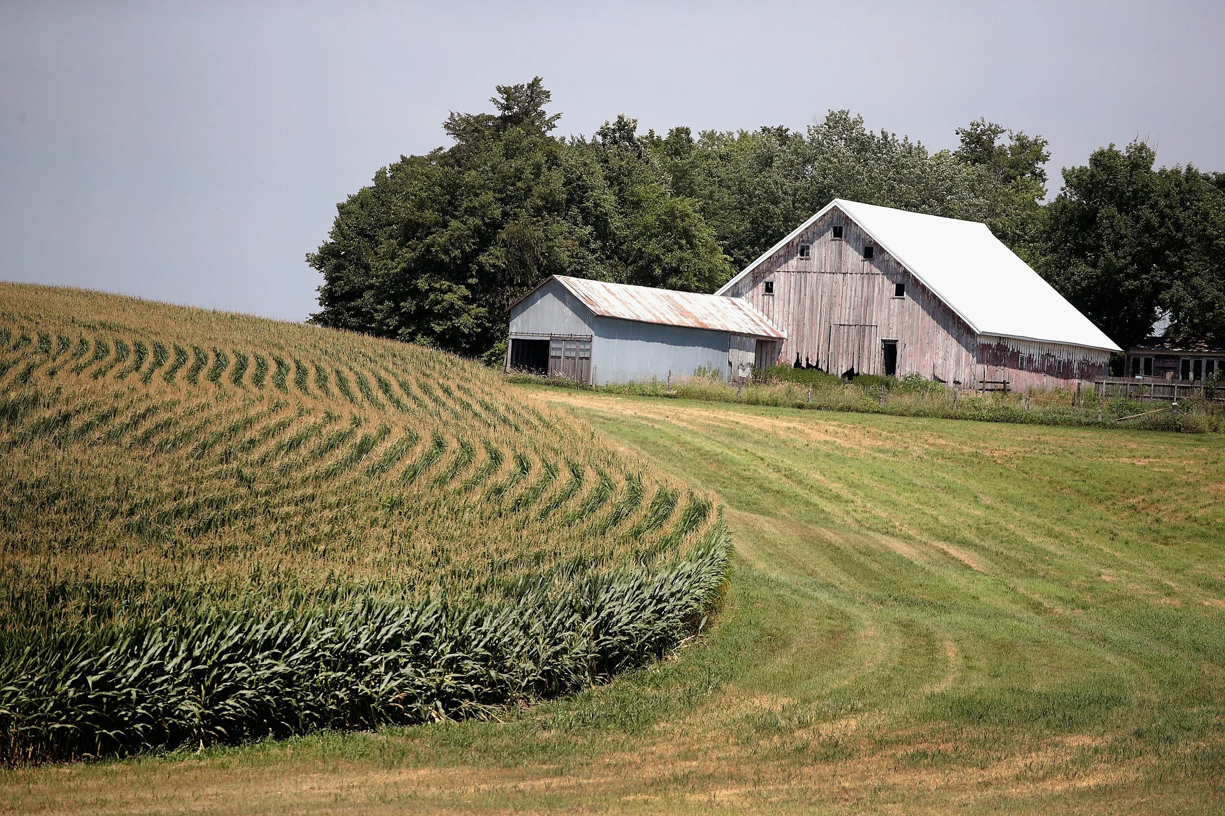 Что такое ферма. Ферма в сша. green farm сша. поле ферма. ферма американская в поле.