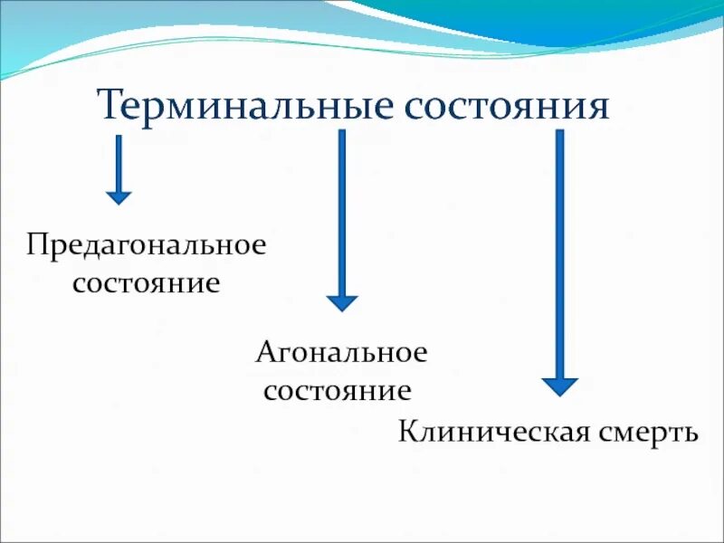 Терминальным состоянием является. Терминальным состоянием является