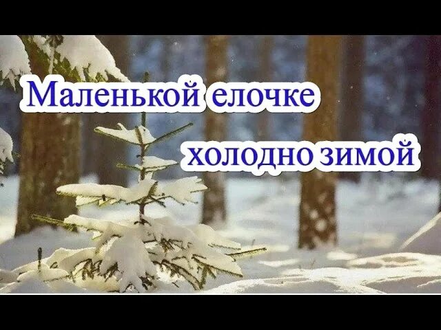 Текст песни елочке холодно зимой. Маленькой ёлочке холодно зимой. Маленькой ёлочке холодно зимо. Песня маленькой елочке холодно зимой. Холодно хололоднл елочке зимой.