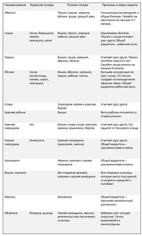 Соседство смородины. Таблица совместимости плодовых кустарников. Таблица совместимости плодовых деревьев и кустарников. Совместимость плодовых кустарников в саду таблица. Совместимость ягодных кустарников таблица.