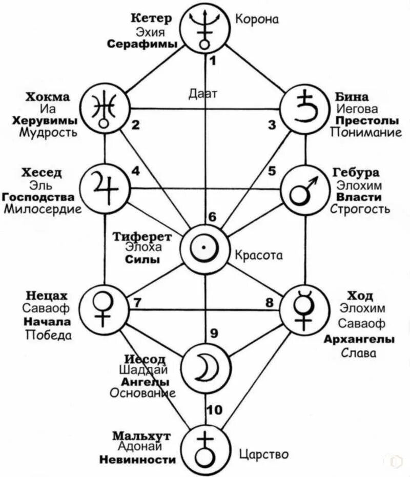 Бина значение
